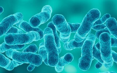 Legionella – Biofilm in Plumbing Systems