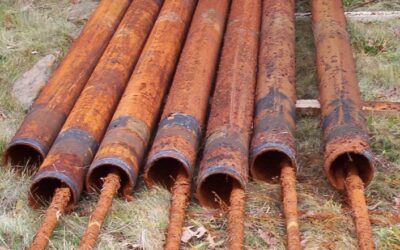 Iron Bacteria: Facts & Fiction